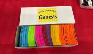 Bible Challenge Question Pack- Genesis
