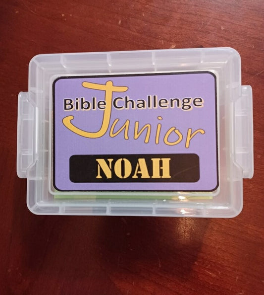 Bible Challenge JR- Noah